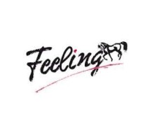 FEELING